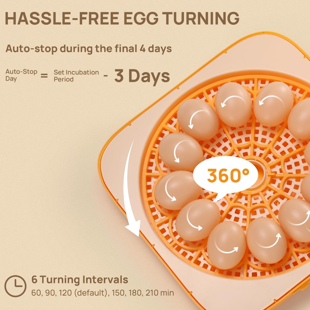 12 Egg Incubator with Automatic Egg Turning, Incubator for Hatching Eggs with...
