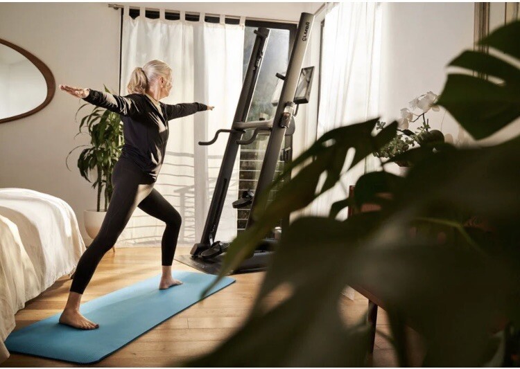 CLMBR Vertical Climber