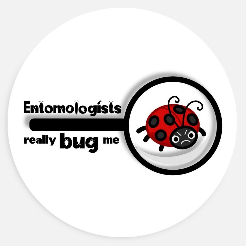 Entomologists really "bug" me pun 1.5in sticker