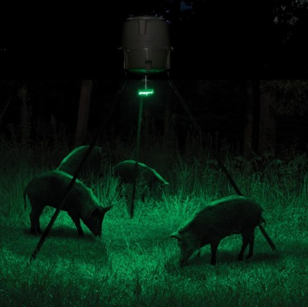 High-Powered Feeder Hog Light with Motion & Photocell Activation - 30 Ft Range