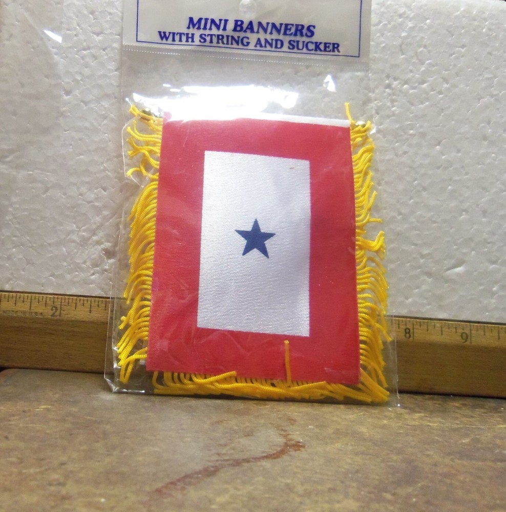 Blue Star Service Mini Banner