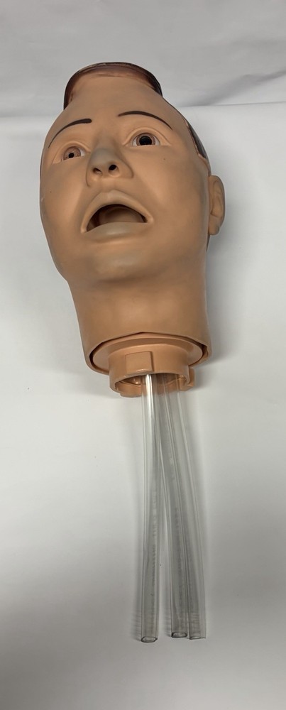Medical Training Mannequin Dummy Head