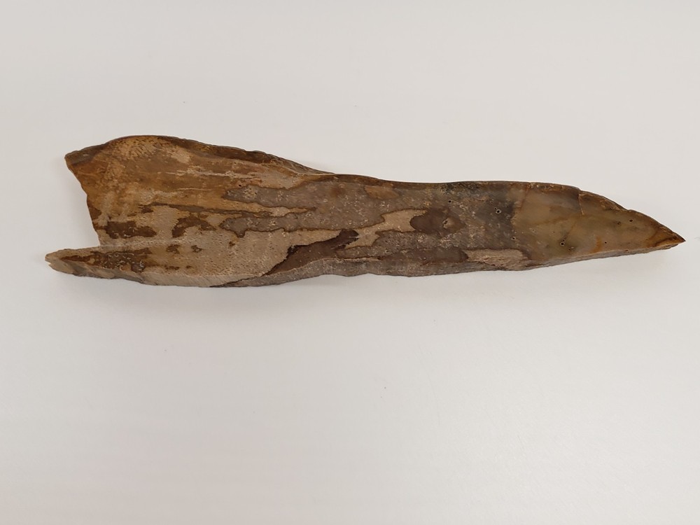 PETRIFIED WOOD Z1137