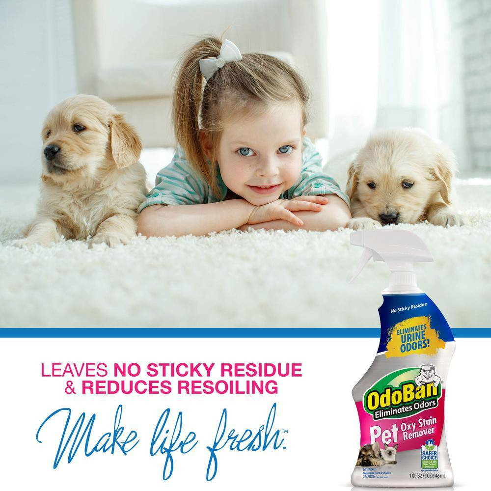32 Oz. Pet Oxy Stain Remover (2-Pack)