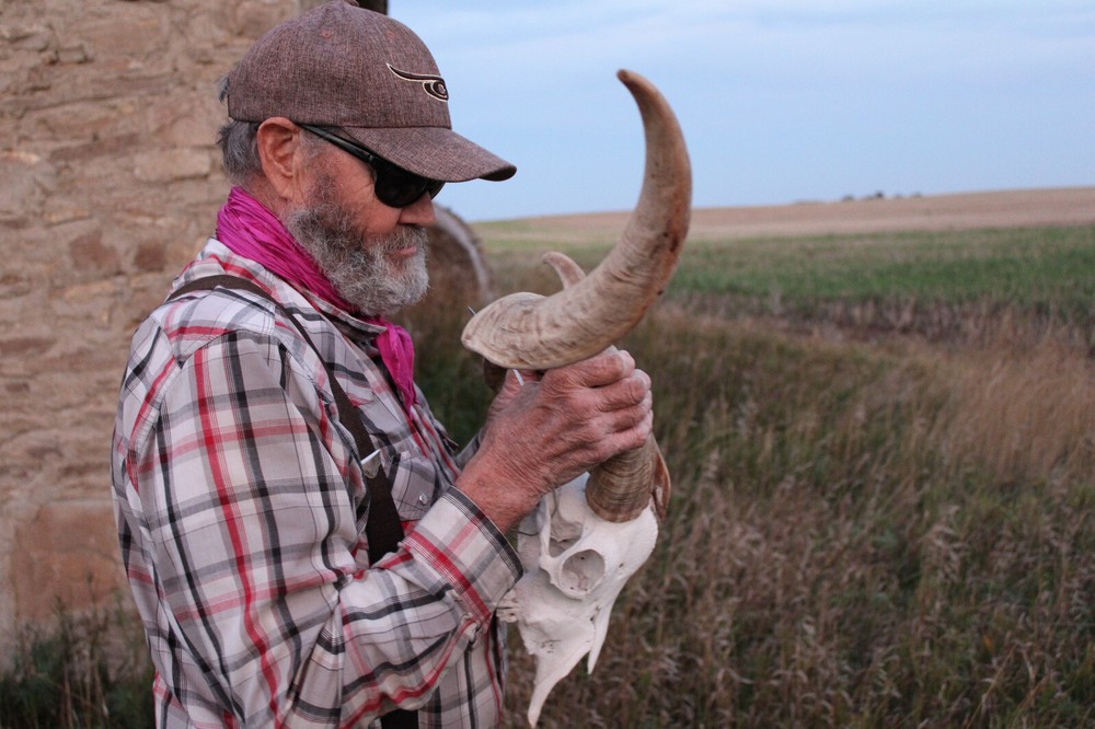 Goat Head Skull Horns