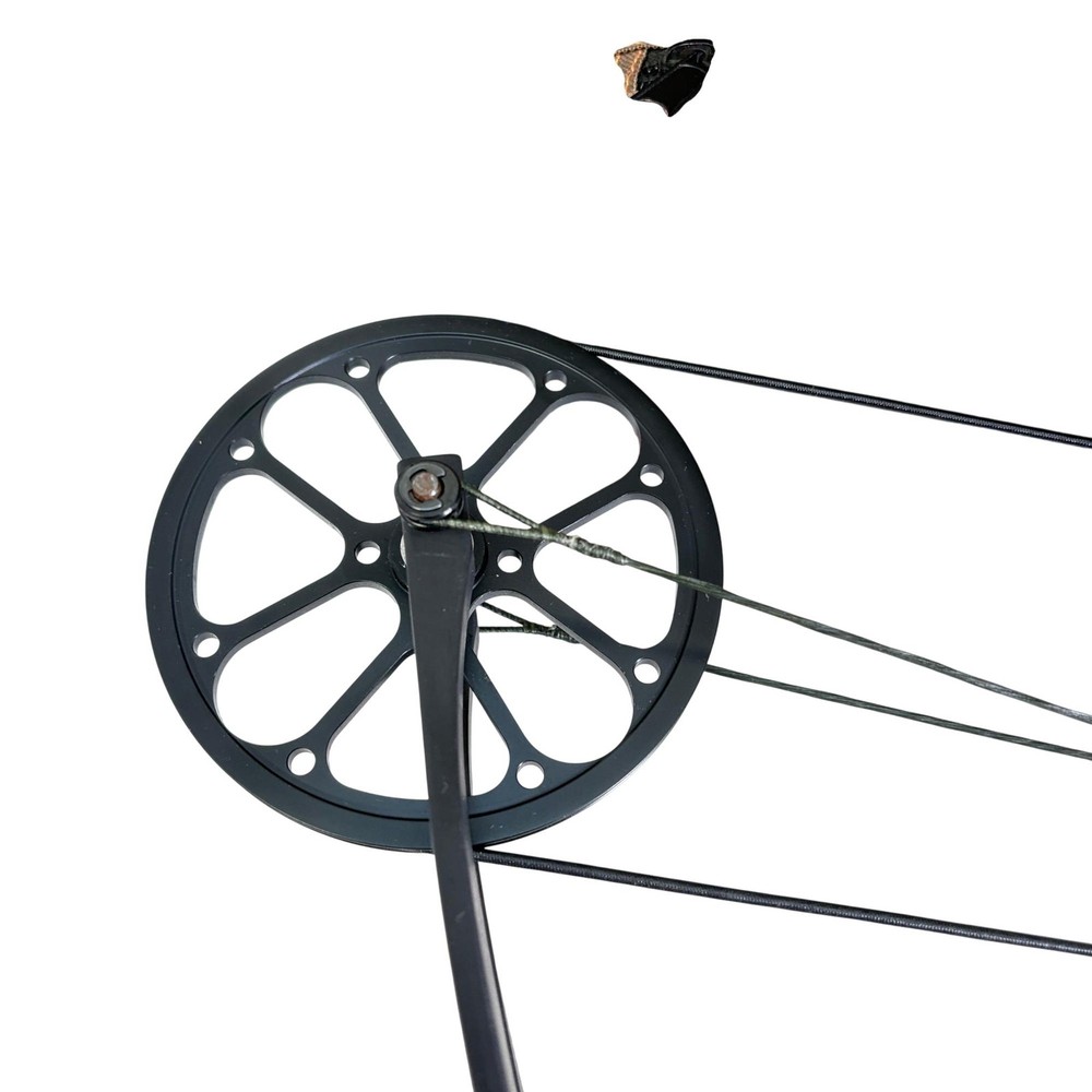 Bear Archery Rant Camo Right-Handed 70-lb Compound Bow