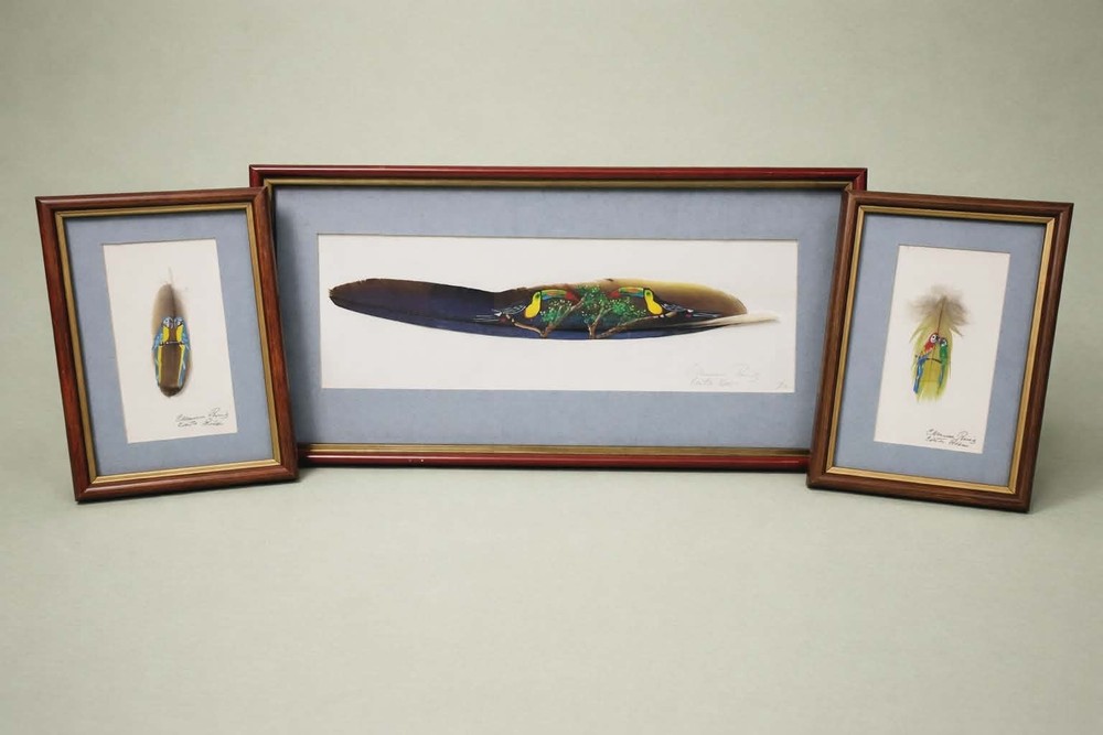 Handpainted Framed Feathers Art Parrots Birds Signed