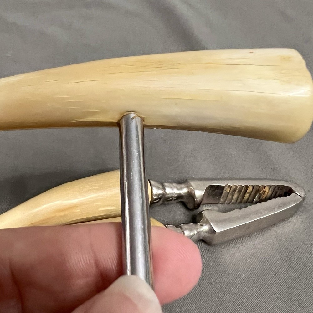 VTG Made In England Horn Handle Nutcracker & Corkscrew 4-5” Handles