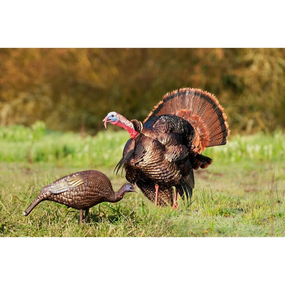 Higdon Outdoors Hard Body Feeder Hen