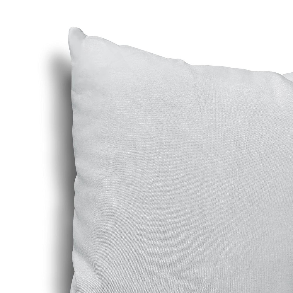 EDOW Throw Pillow Inserts, Set of 2 Lightweight Down Alternative Polyester Pillo