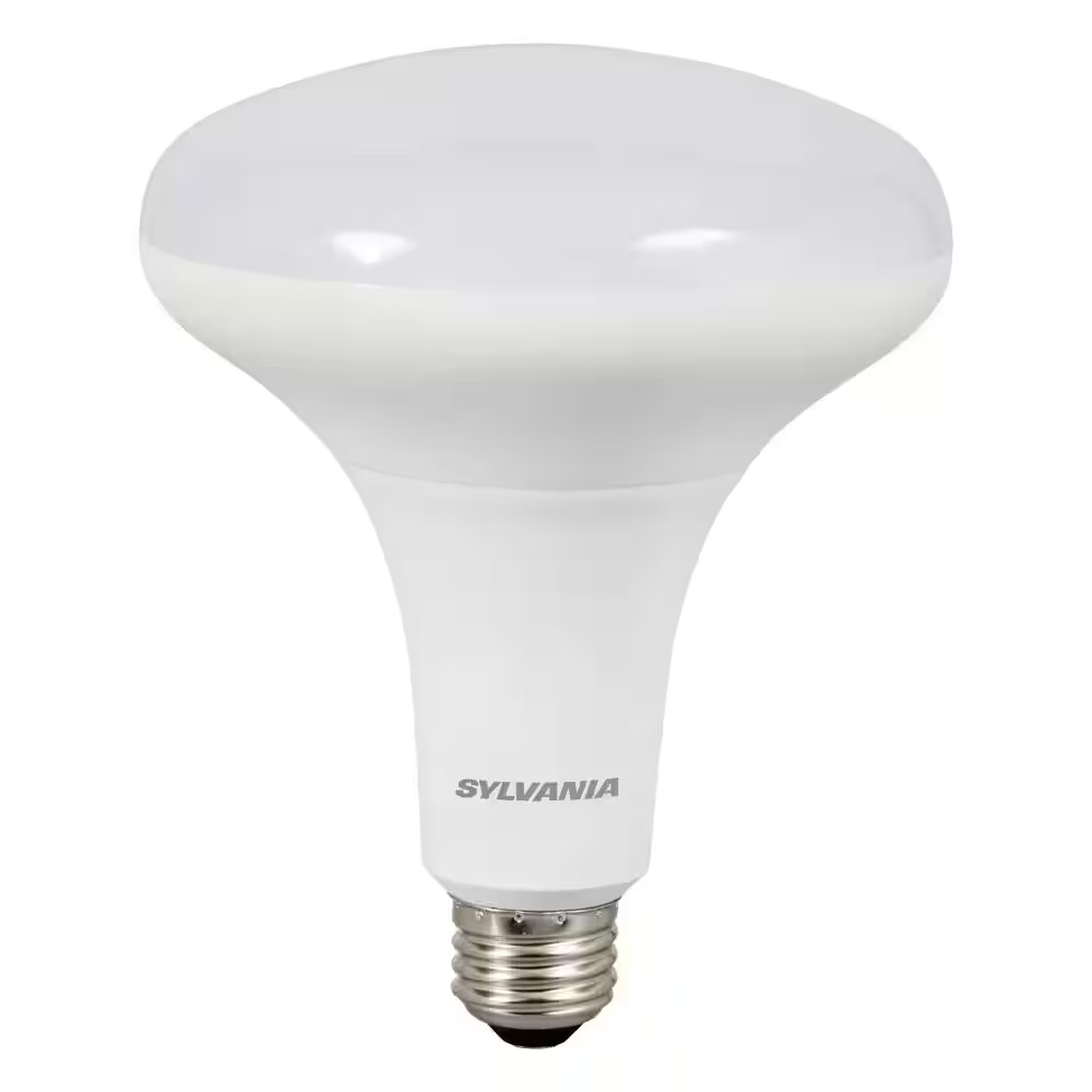 85-Watt Equivalent BR40 Dimmable LED Light Bulb in 5000K (2-Pack)