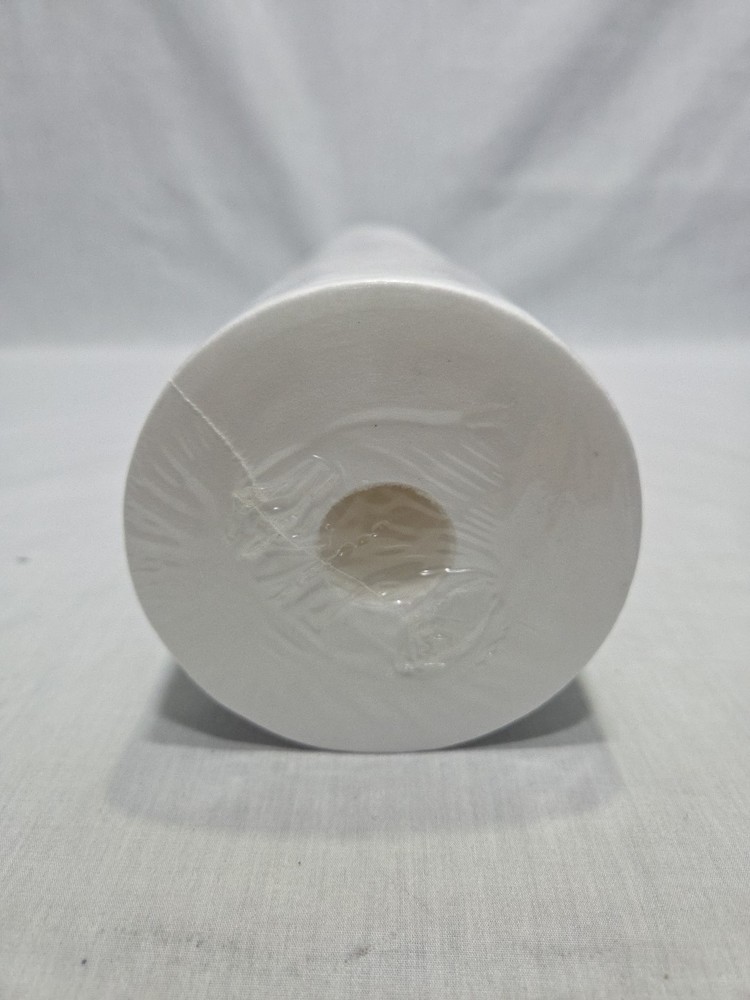 6 pcs Ronaqua Big Blue Water Filters 4.5" x 20" Whole House Cartridges 5 Micron