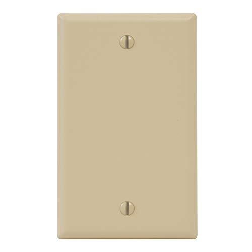 ICC Faceplate Blank with Single Gang, Ivory