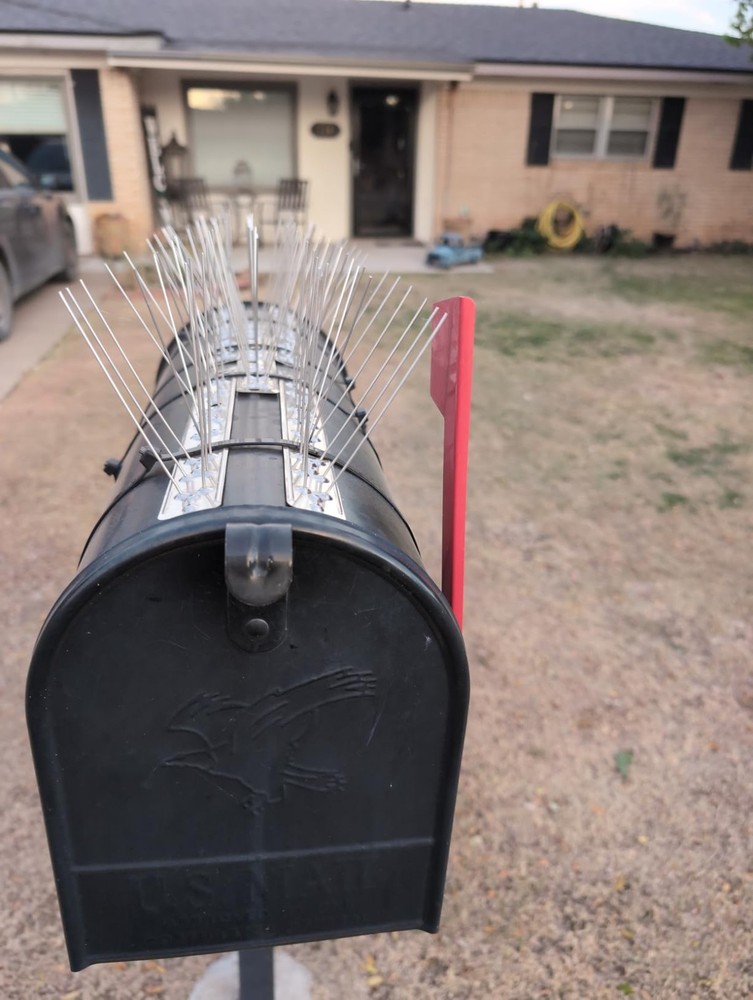 Adjustable Weather-Proof Stainless Steel Pigeon Spikes - 10 Strips & Coverage