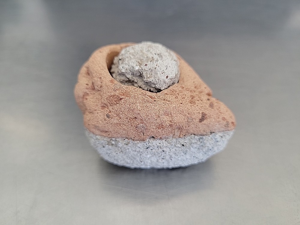 Fossilized Rock Stone Sedimentary Possible Shell Or Egg Unique