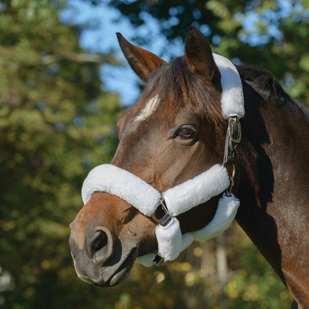 Shires ARMA SupaFleece Halter Set