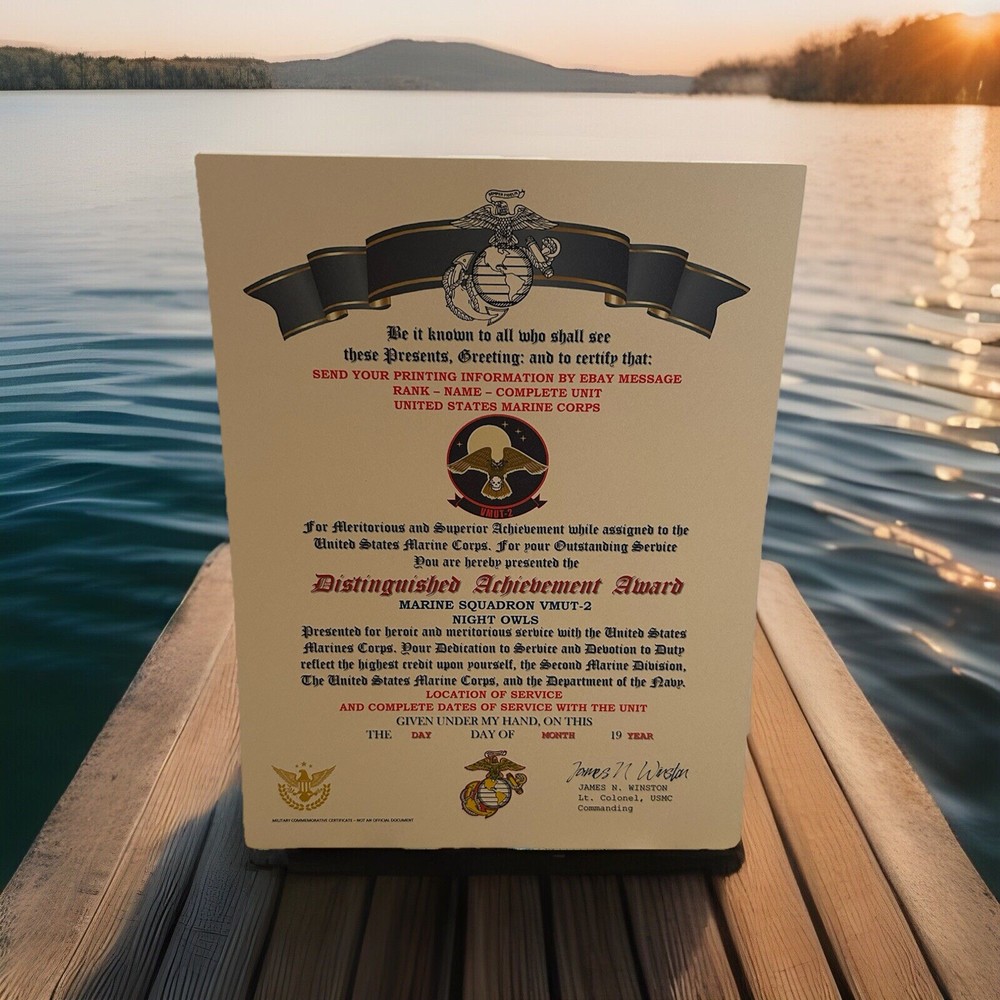 U.S.M.C. / MARINE SQUADRON - VMUT-2 / DISTINGUISHED ACHIEVEMENT AWARD