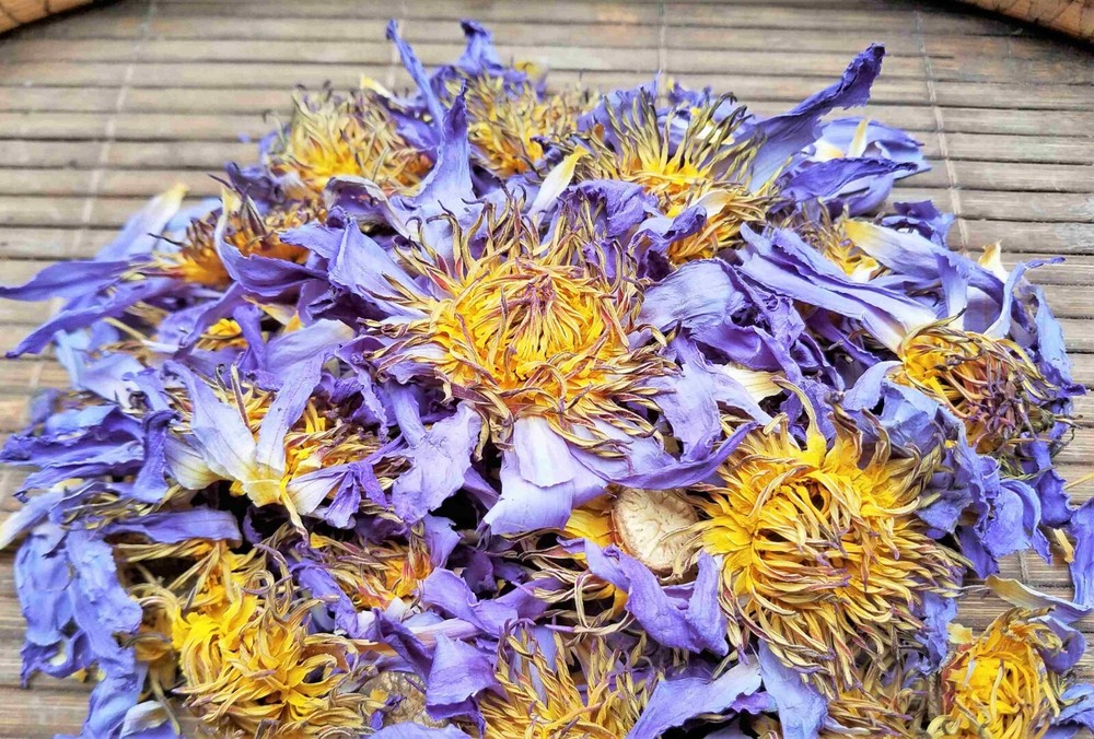 music Lotus Flowers Nymphaea Caerulea blue