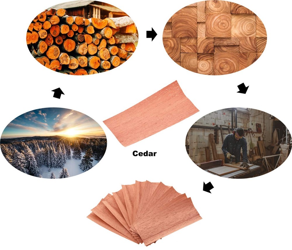 20PACK Cedar Sheets for Cigars Humidor, Spanish 20pc