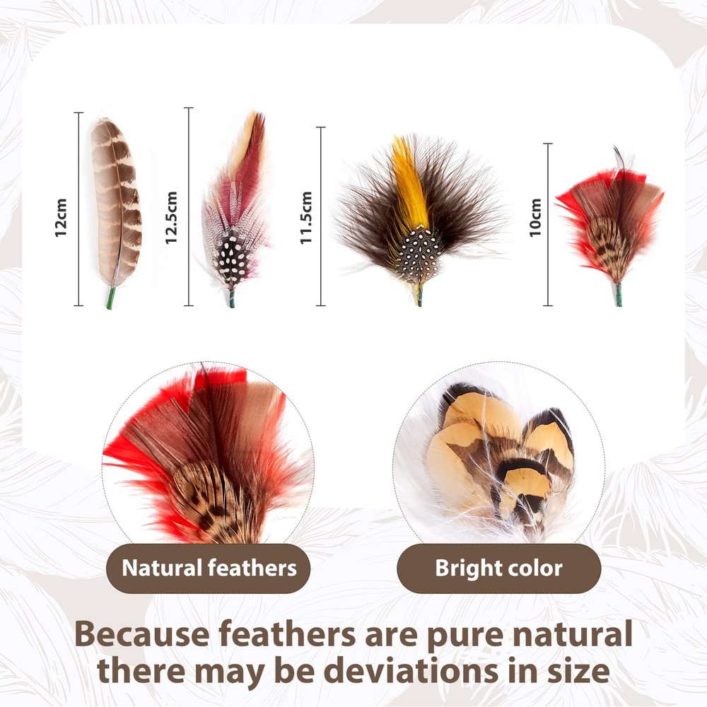 MIX BROWN Hat Feathers, Assorted Natural Feather Packs Accessories for Fedora...
