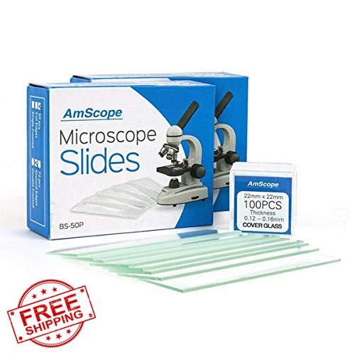 AmScope Microscope Slides 100 Blank Slides with 100 Cover Glass