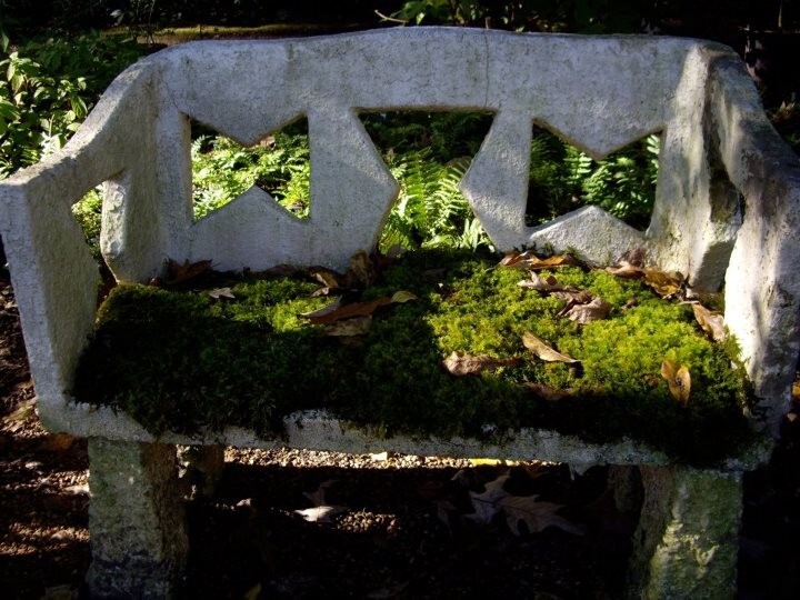 Mixed Flats of Moss