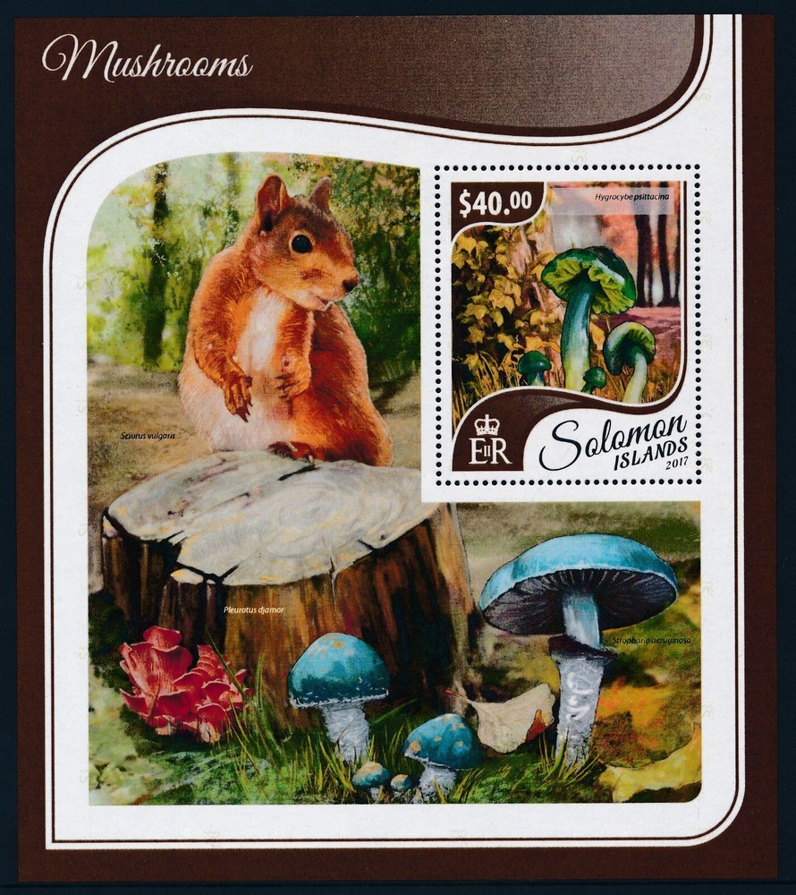 2017 SOLOMON ISLANDS MUSHROOMS MINI SHEET ($40) FINE MINT MNH