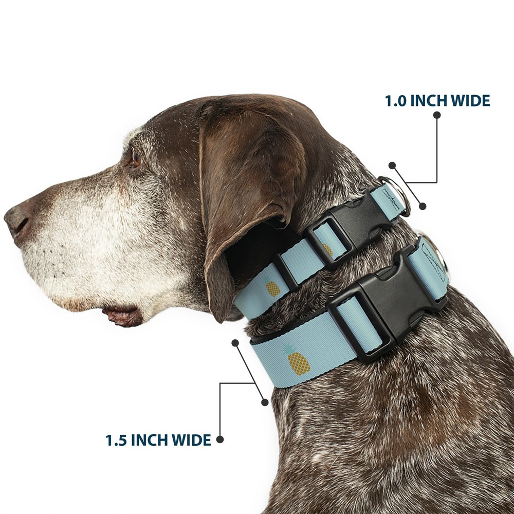 Plastic Clip Collar Pineapple Repeat Aqua Blue NARROW-Medium 8.5-12"