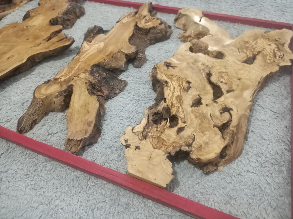 Olive Slab Set for Vertical River Table 24-32-48