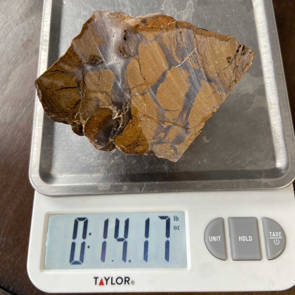 Stony Creek Brecciated Jasper Lapidary Rough 14.17 Oz!