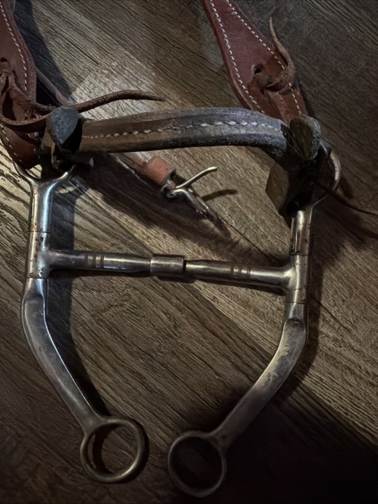 Leather Bridle and Bit Lot Shank Full Cheek Snaffle Headstall