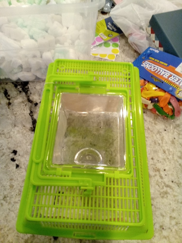 Toysmith Backyard Water Hut