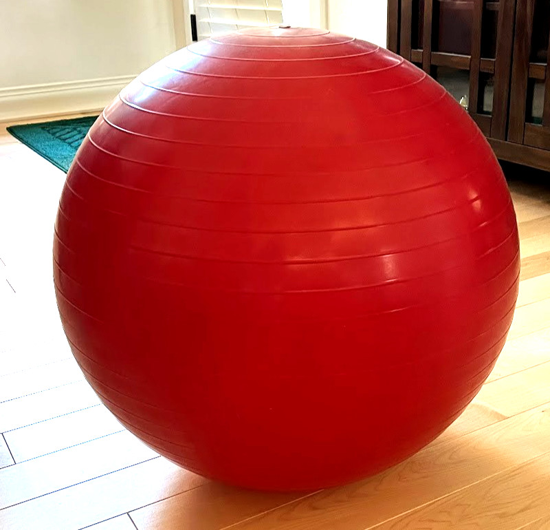 Thera-Band 55 cm Professional Exercise Ball_Red