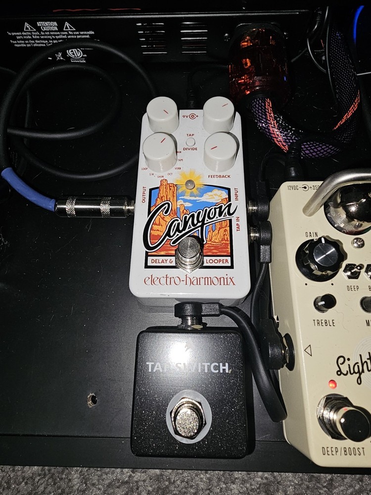 Electro-Harmonix Canyon Delay and Looper Effects Pedal W/ Momentary Switch