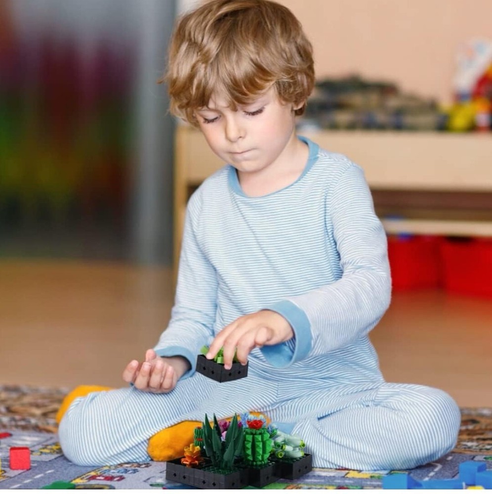 Succulent Bonsai Building Kit,