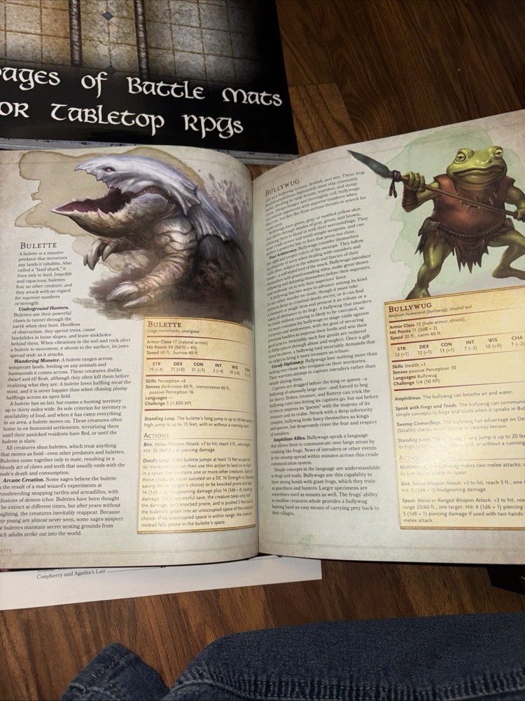 D&D Everything You Need To Get Started Playing