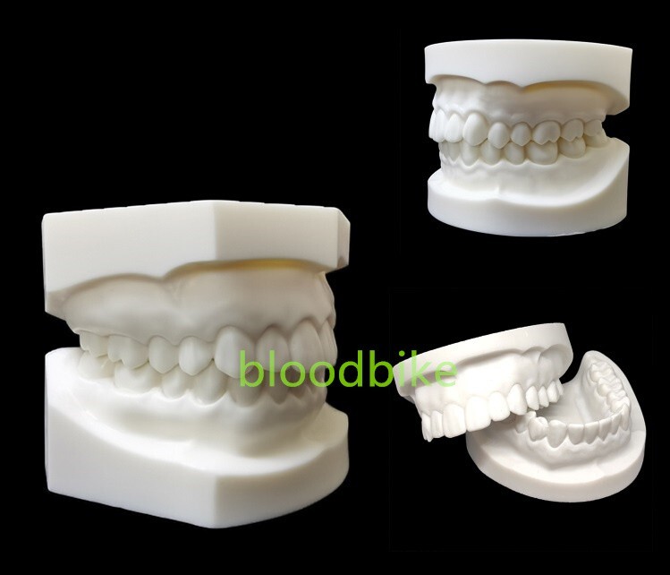 1pc Dental Typodont Teeth Study Teach Model Implant Endo Caries Demonstration