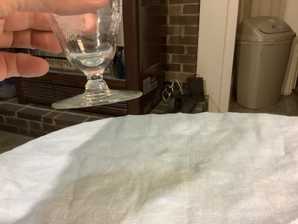 Crystal Etched Water Goblet 5.5” Tall