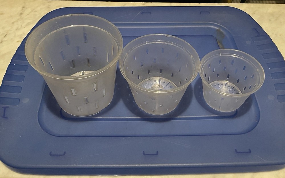Orchid Drainage Pots, Grow Medium, Watering System.