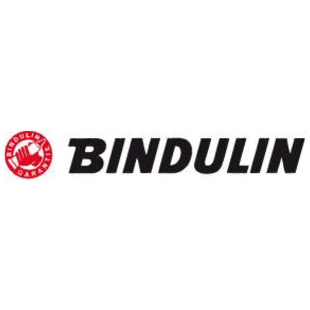 Bindulin SPM10 Spatula Spatan-M Liquid Metal 60g