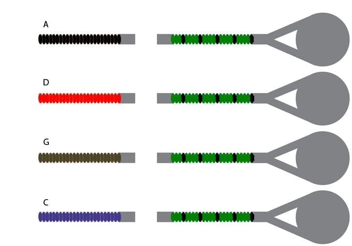 Pirastro Evah Pirazzi Gold Viola String Set