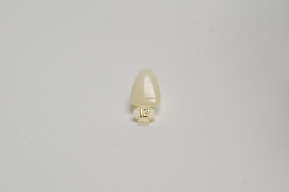 DENTAL POLYCARBONATE TEMPORARY CROWNS #12 (URC) UPPER RIGHT CENTRAL 5/PACK