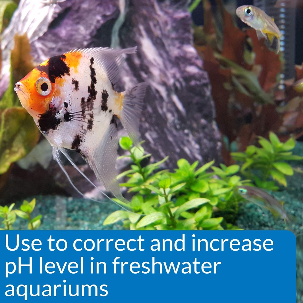 API pH UP Freshwater Aquarium Water pH Raising Solution 4-Ounce Bottle