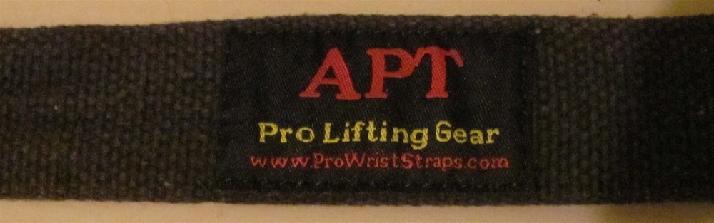1-APT Heavy Duty Lifting Strap-Black (21 Inch)
