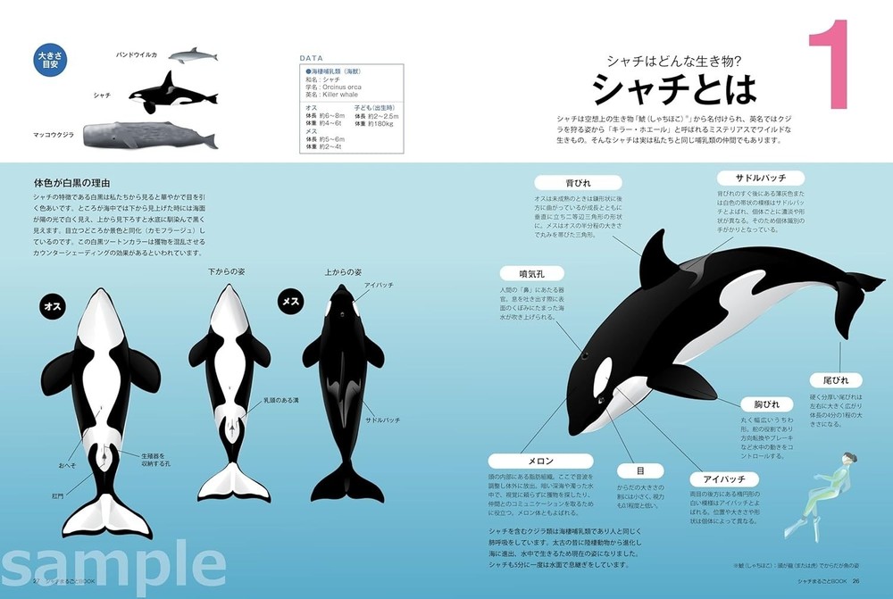The Complete Orca Book Japanese Book