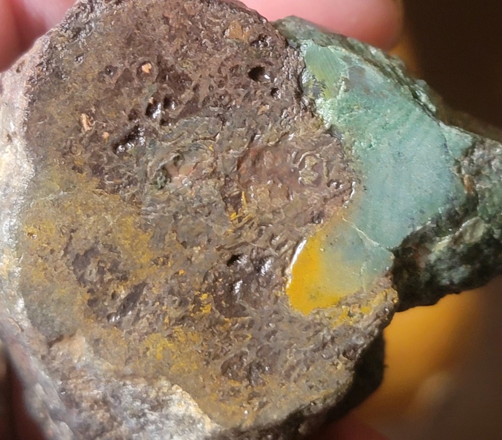 2.06 Lbs Agitized Dino Bone Smalls