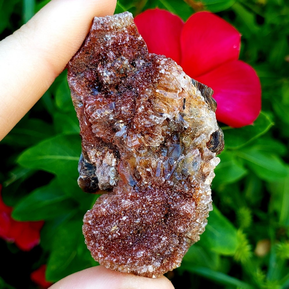 Fossilized Agate shell Cluster druzy natural crystal healing gemstone - #11