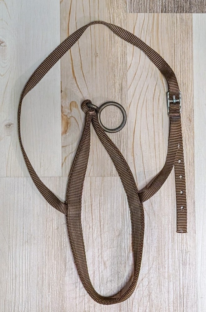 Horse Easy Catch Neck Rope #37A