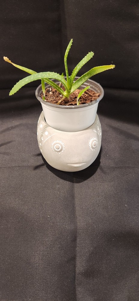 Ganz Fish Planter