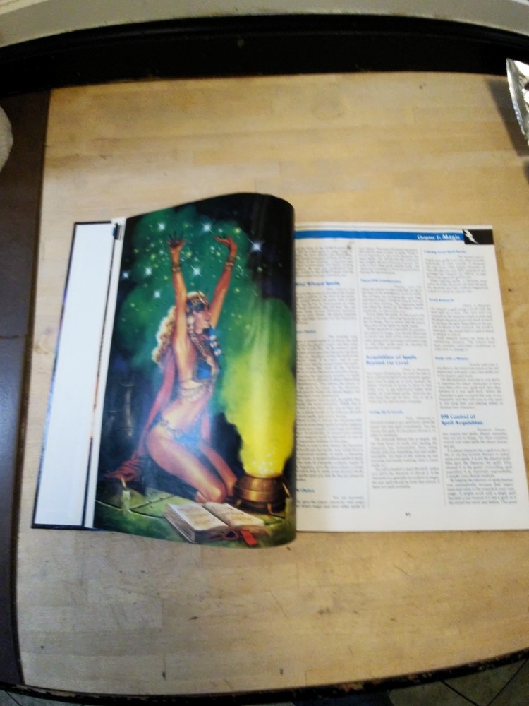 AD&D 2nd Ed Dungeon Master's Guide (3rd) Fair Condition. *Read Descript. Was Wet